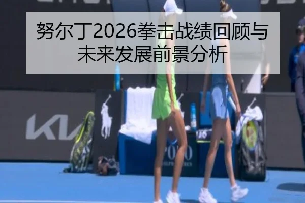 努尔丁2026拳击战绩回顾与未来发展前景分析
