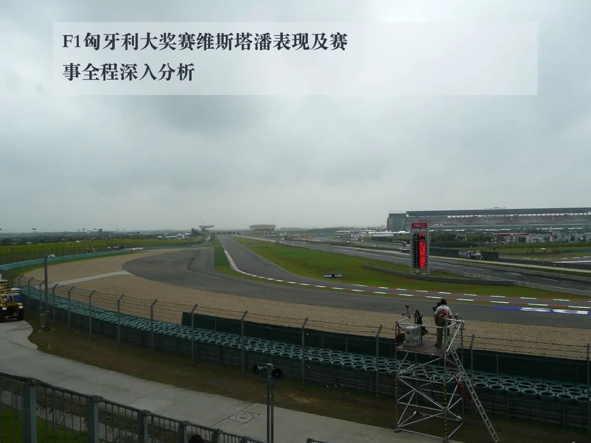 F1匈牙利大奖赛维斯塔潘表现及赛事全程深入分析